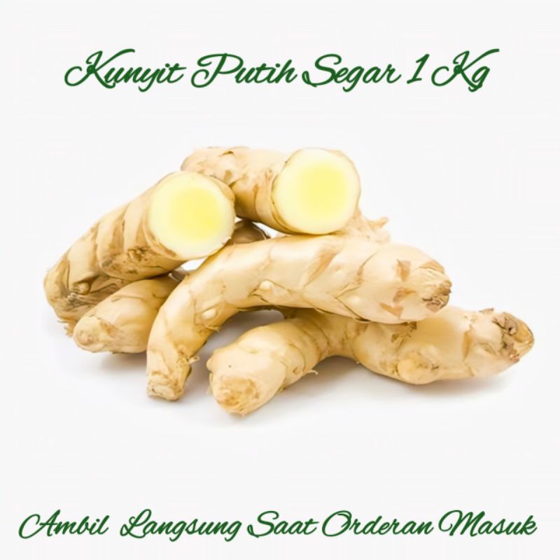 

Kunyit Putih Fres Segar 1 Kg
