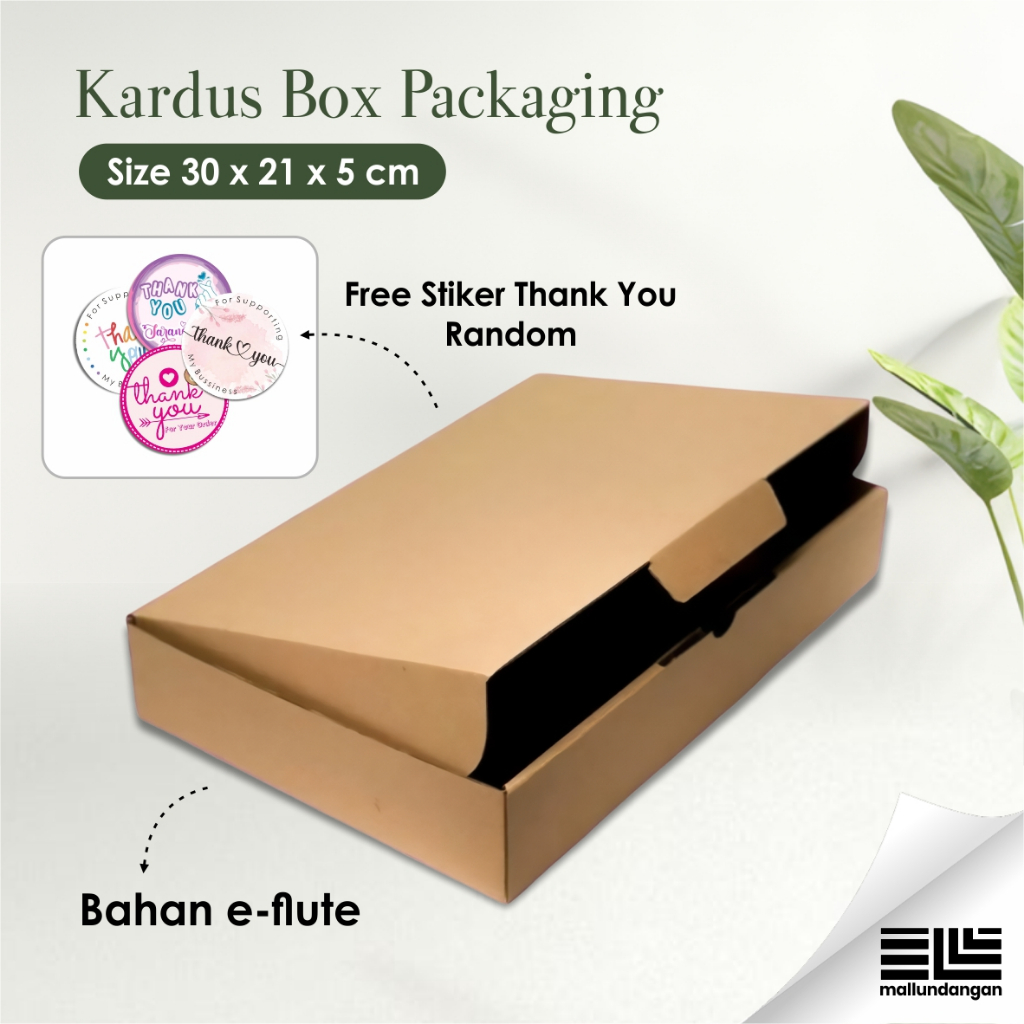KARDUS BOX PACKAGING HAMPERS BAHAN E-FLUTE - BOX KARTON PACKING UKURAN 30 X 21 X 5 CM READY STOCK