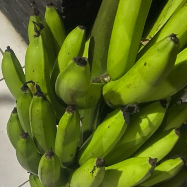 

Buah Pisang Matah Cmlk Pab 1 Kg Biasa Pisang Mentah