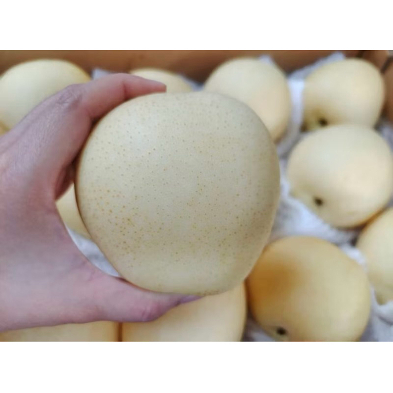 buah pir 1kg