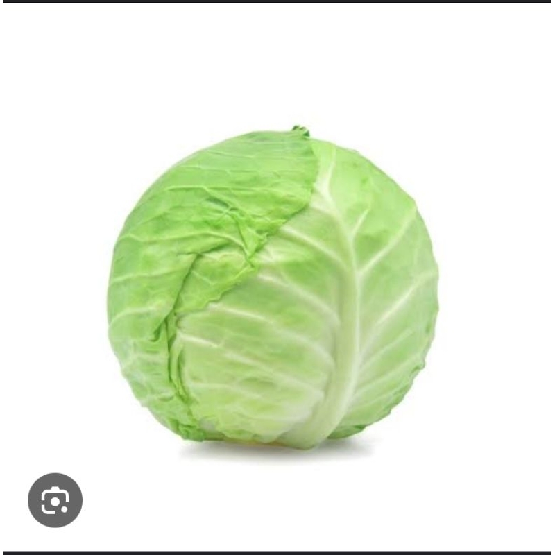 

kubis