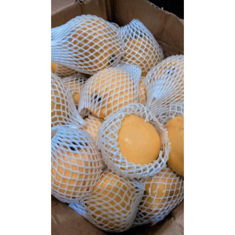 

Jastip Buah Import Safarjal / Quincy Perbiji bagus buat bumil