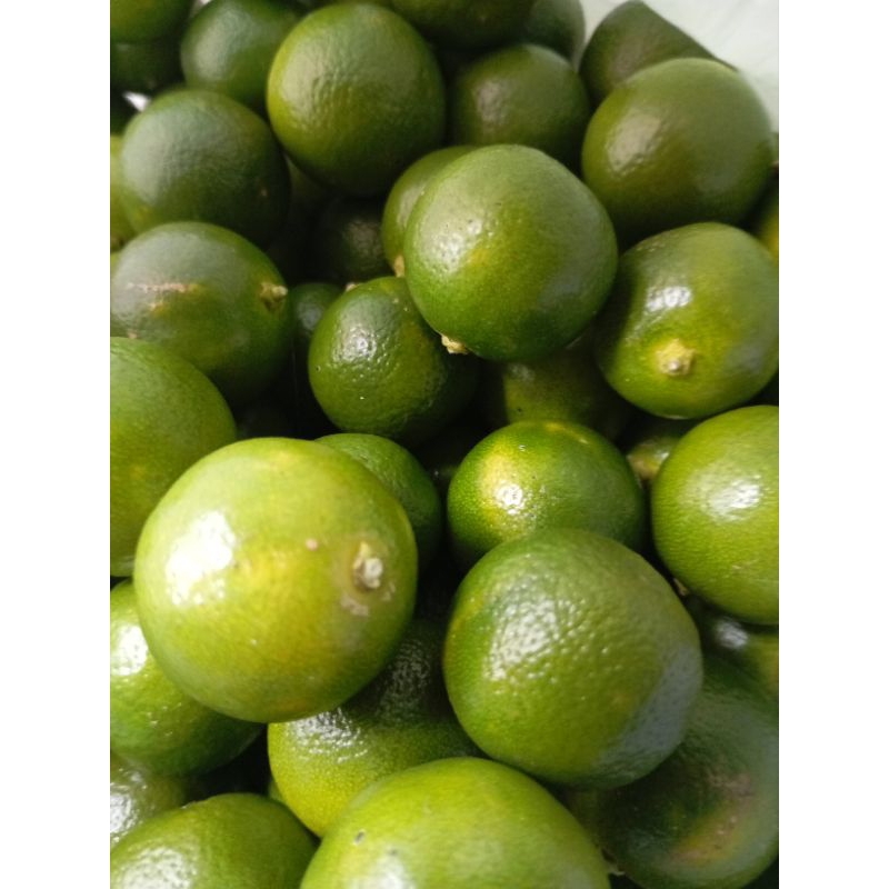 

jeruk sonkit atau kasturi segar 1 kilo