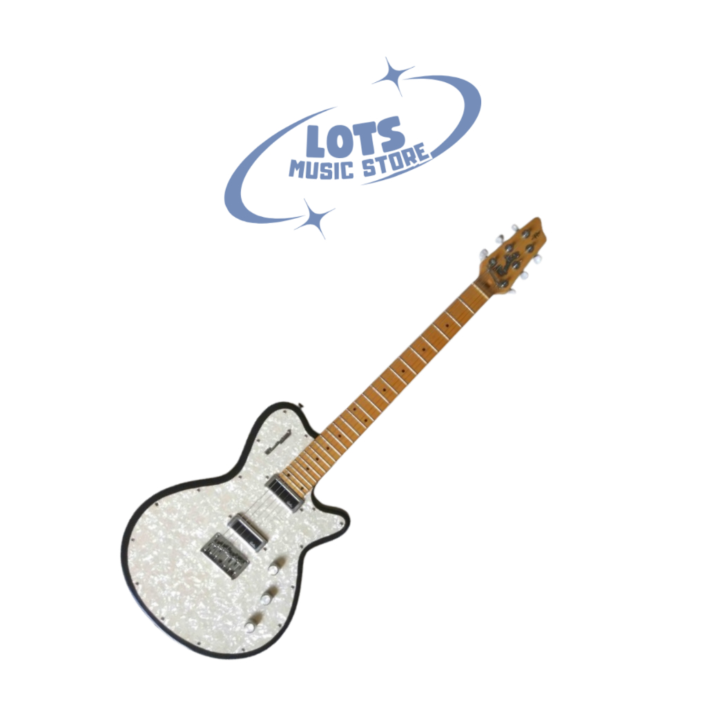 Guitar Electric Godin Radiator Made In Canada