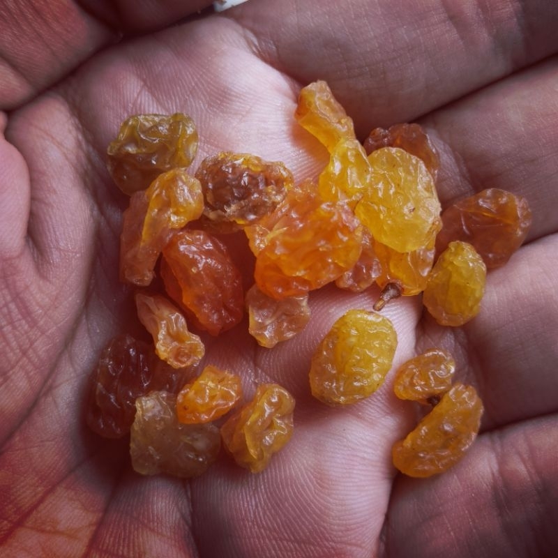 

KISMIS HITAM | DARK | GOLDEN / BLACK RAISIN PREMIUM QUALITY 35 GRAM