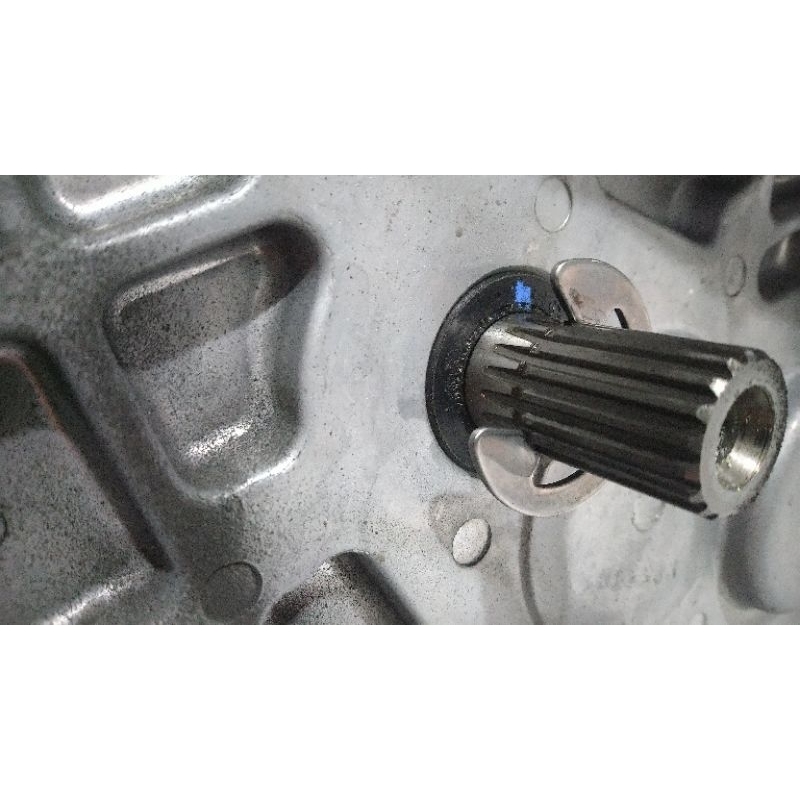 Seal pully belakang Alva cervo cervo Q