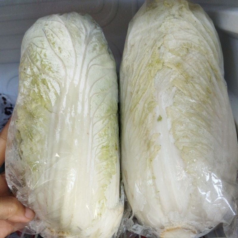 

SAWI PUTIH LOKAL SEGAR