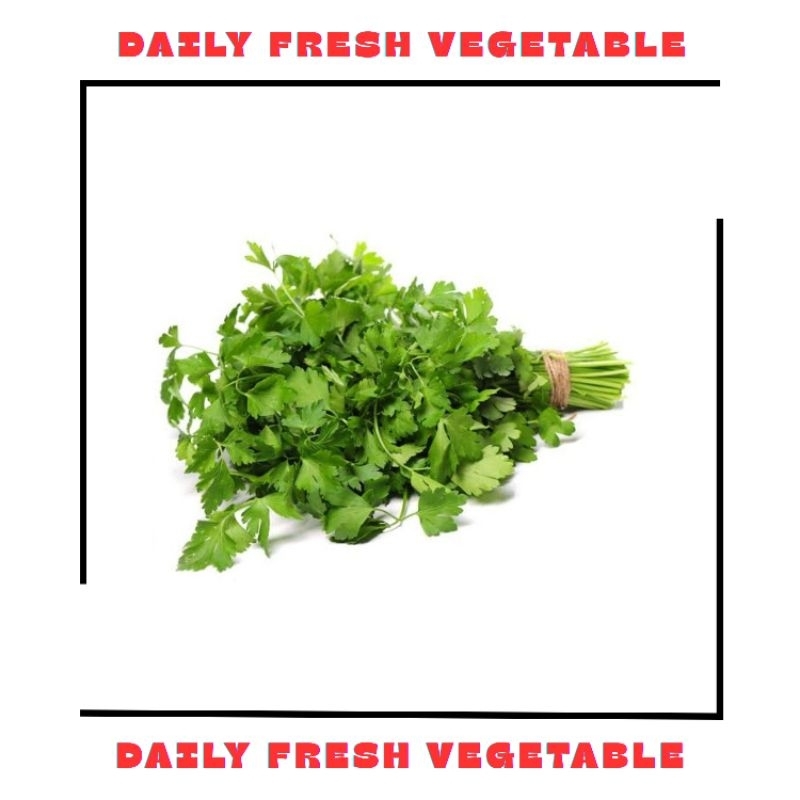 

Daun Seledri Fresh 250gr