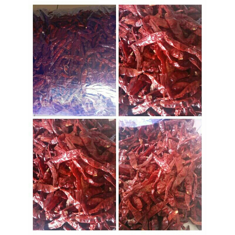 

cabe kering cabe teja 1kg