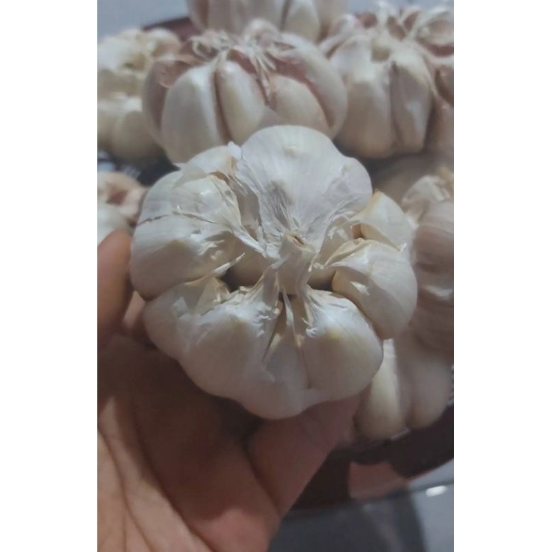

(Promo Berat 1kg ) Bawang Putih