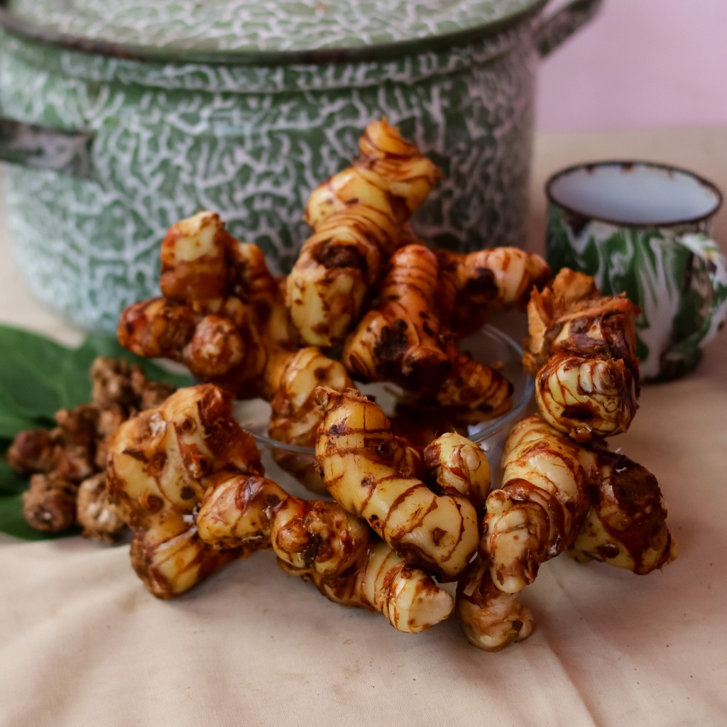 

LENGKUAS SEGAR ORGANIK CIAMIS, Langsung Petani! Bumbu Masak & Jamu - 500gr