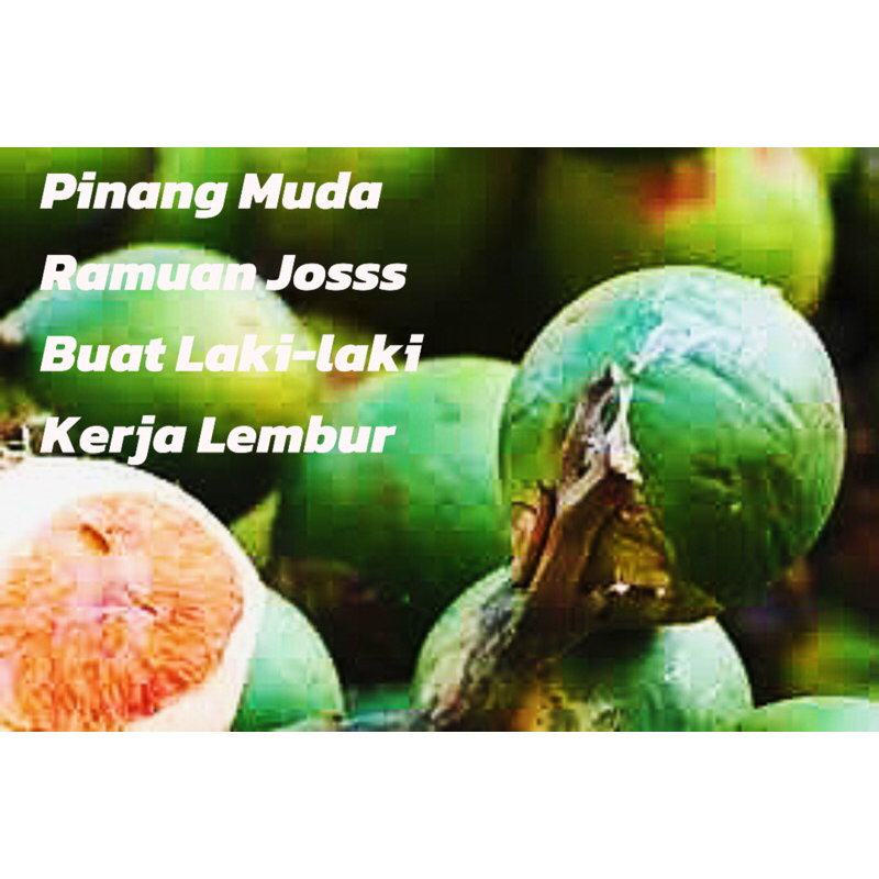 

Pinang Muda Pinang muda fress