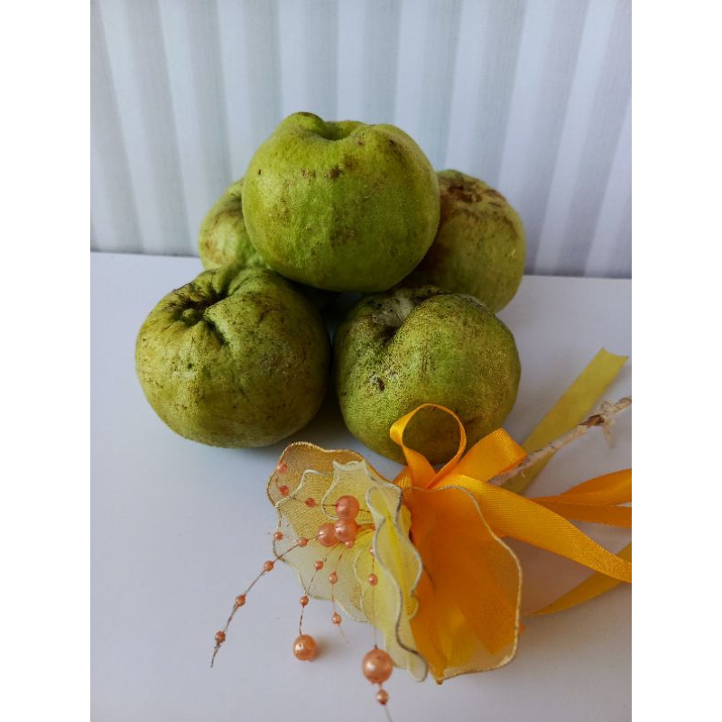 

Jambu Kristal Fresh Petik Pohon