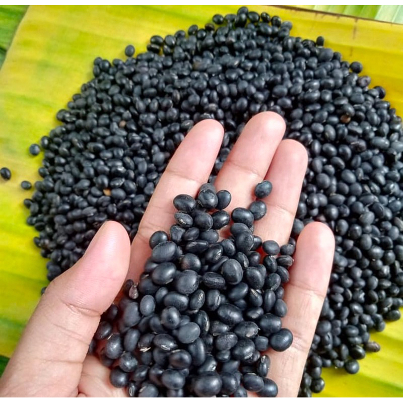 

PROMO COD 1KG KEDELAI HITAM KUALITAS PREMIUM