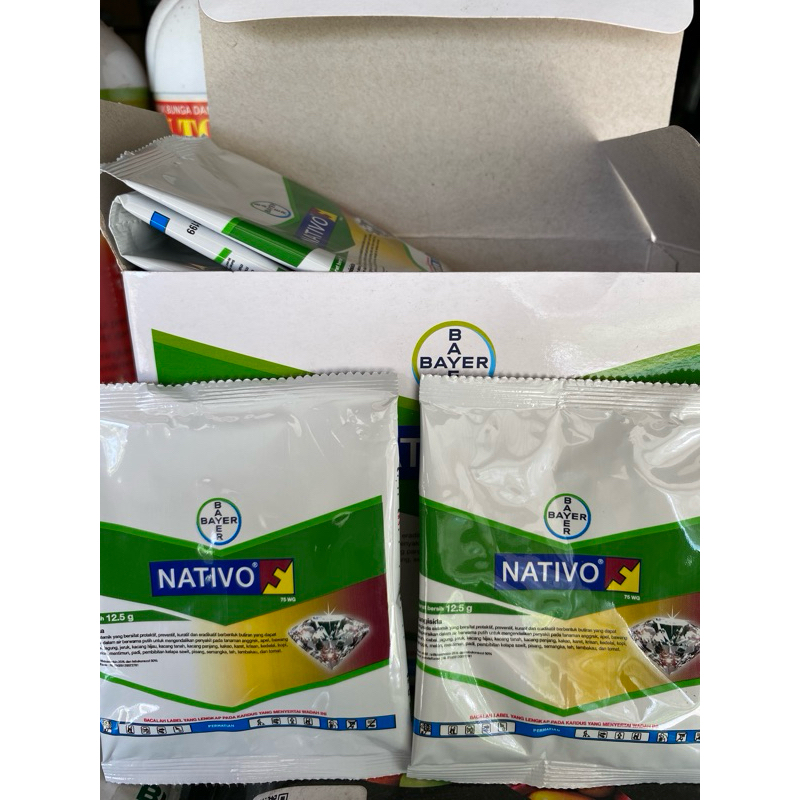 Fungisida nativo 12,5gram