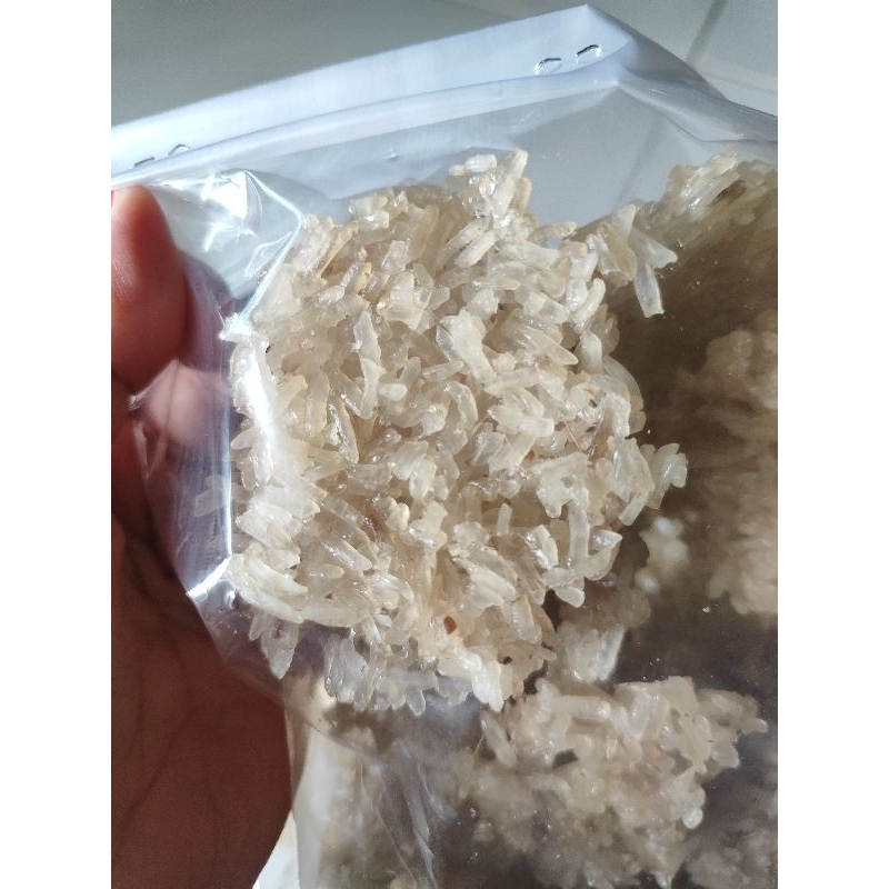 

Rengginang Bumbon Bawang 500gr