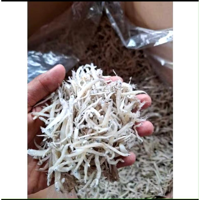 

Ikan asin teri medan/teri nasi/ikan kering kualitas premium