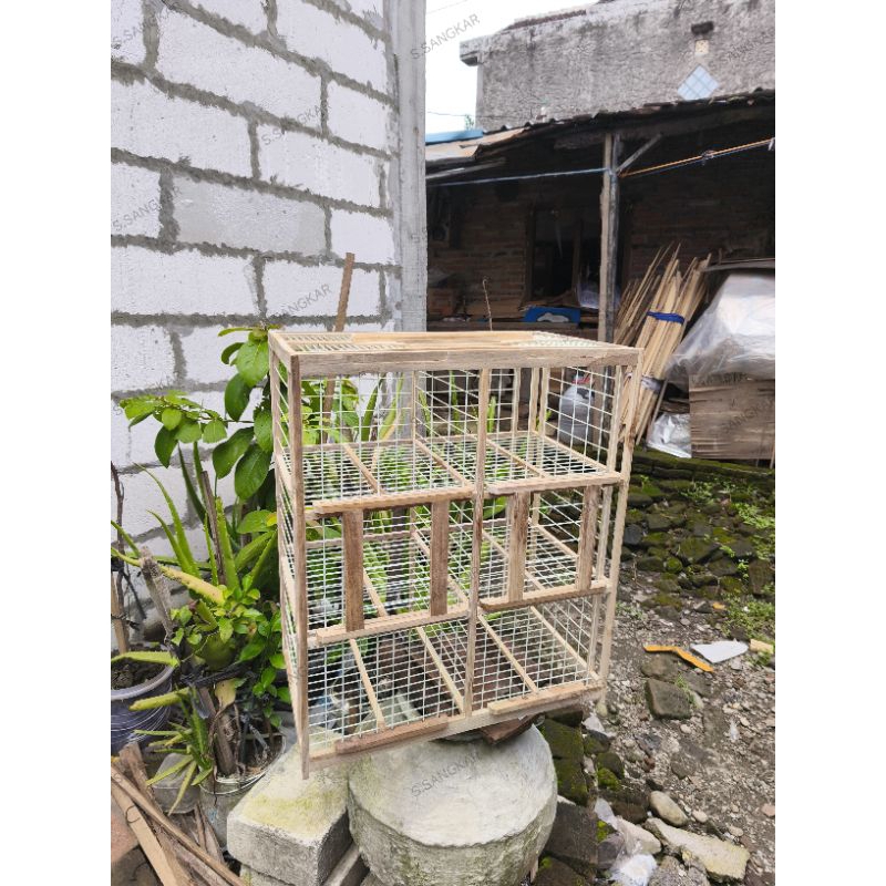 DONDANG GABURAN MERPATI 6PINTU FREE JERUJI AMBRUKAN S.SANGKAR