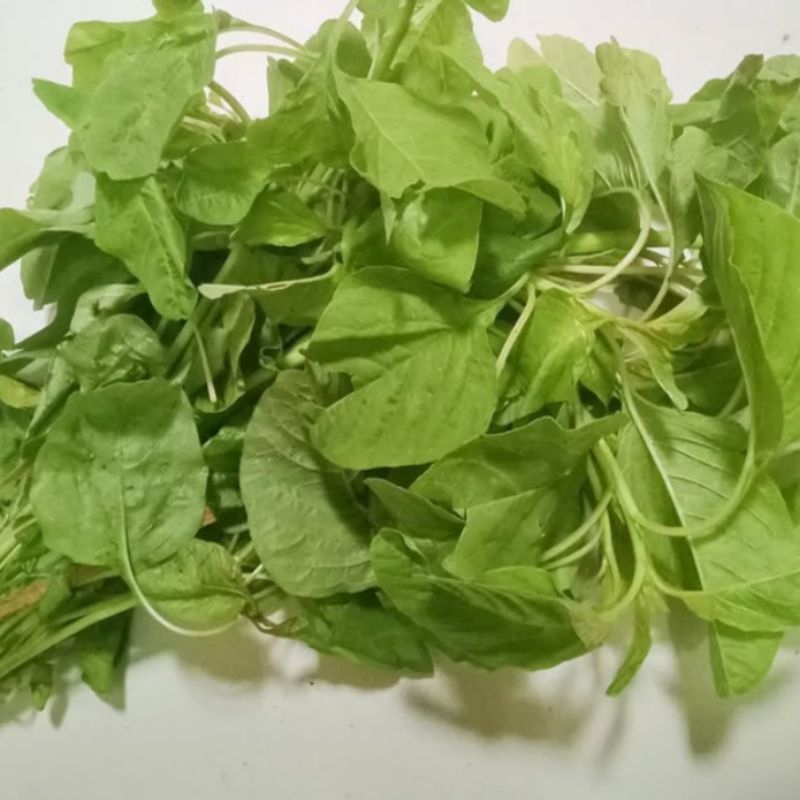 

sayuran hijau per ikat / bayam / kangkung / daun singkong / daun pepaya / daun kemangi