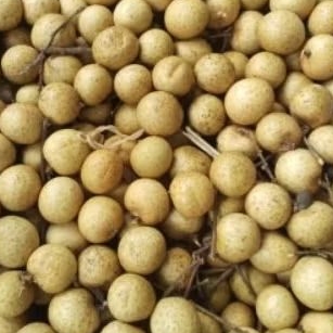 

Kelengkeng tanpa Ranting manis fresh sekilo...TERMURAH