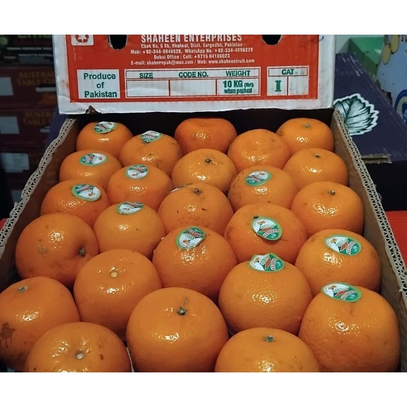 Indukbuah Jeruk Mandarin Kino Pakistan 1 Dus ±10 kg