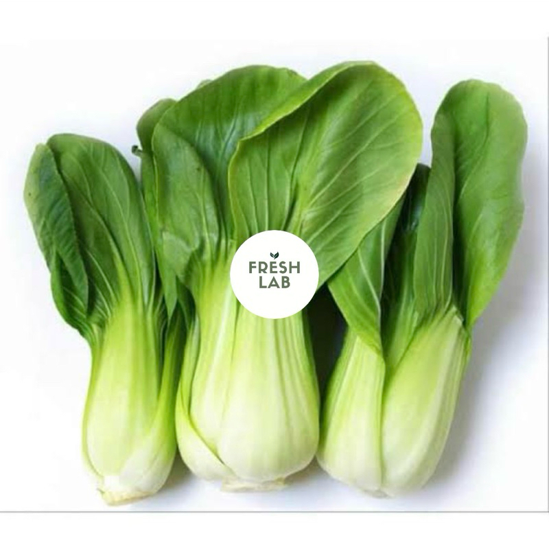 

sayur pakcoy segar bagus 500gr