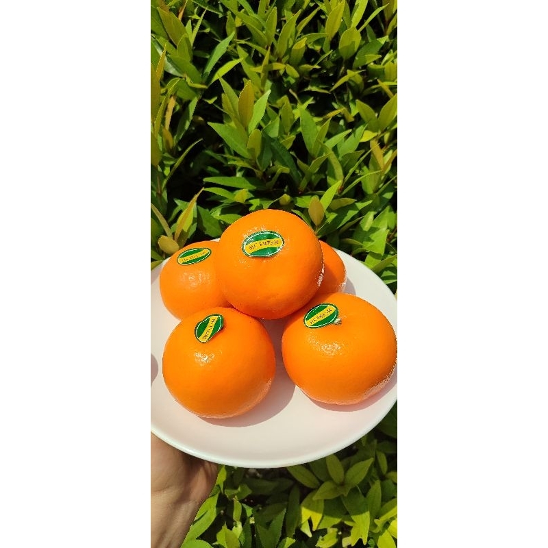 

Jeruk santang daun 1kg