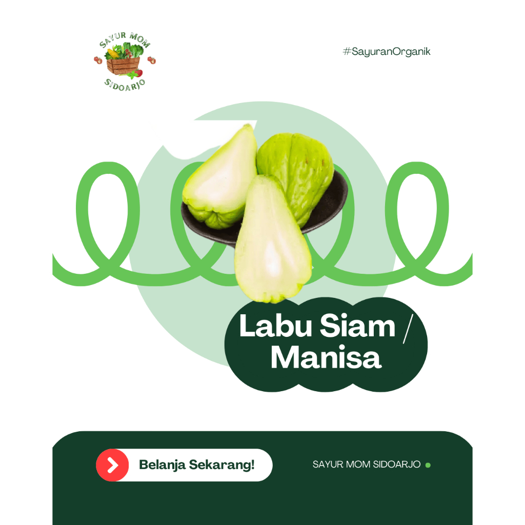 

Labu Siam Acar / Manisa 250gr | KIRIM INSTAN