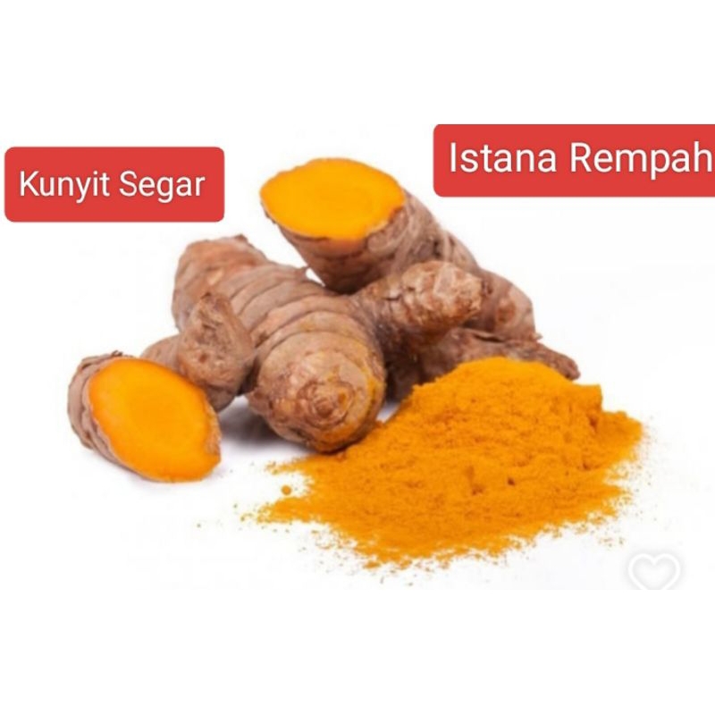 

Berkualitas Kunyit Segar Besar Rempah kunyit 1 Kilo