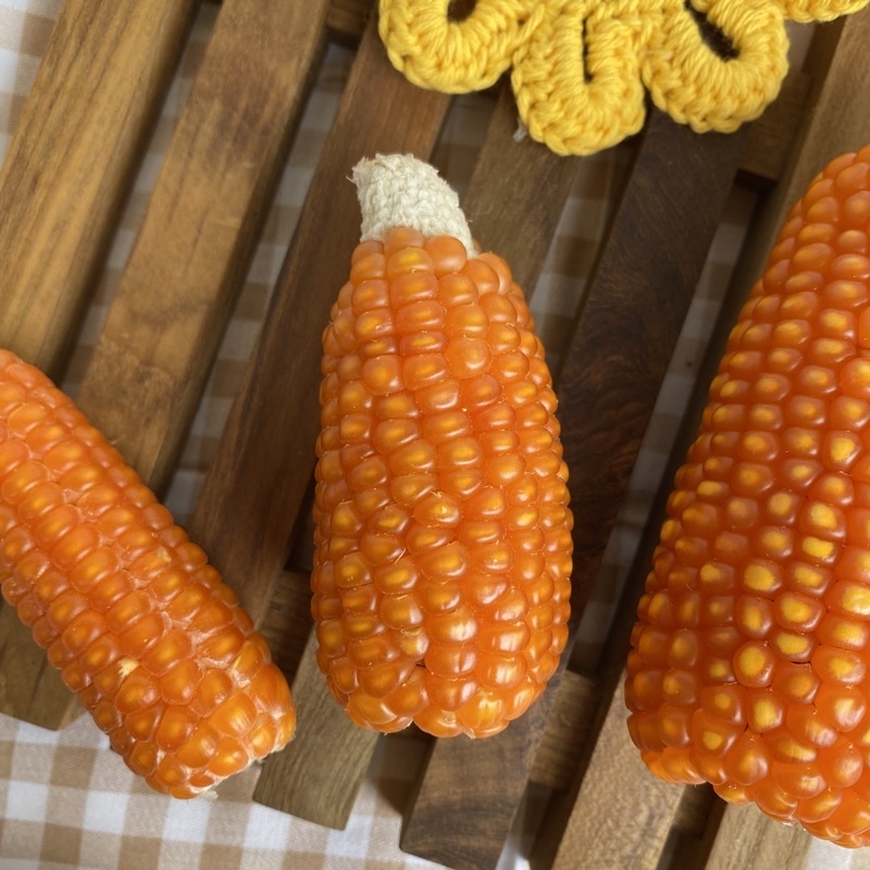 [ONDINE PETSHOP] JAGUNG KERING JUMBO UNTUK GIGITAN HAMSTER