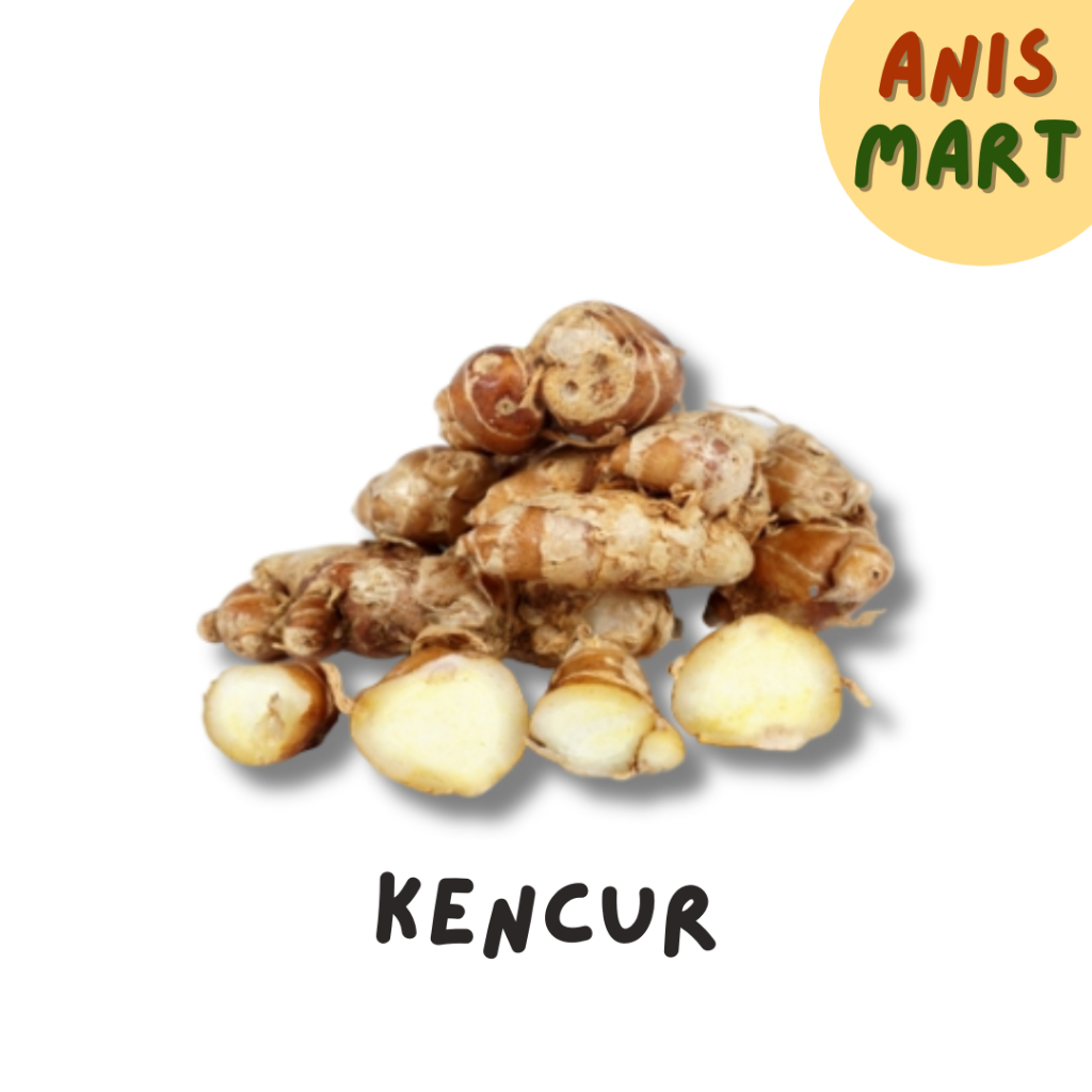 

KIRIM INSTAN Kencur / Rempah