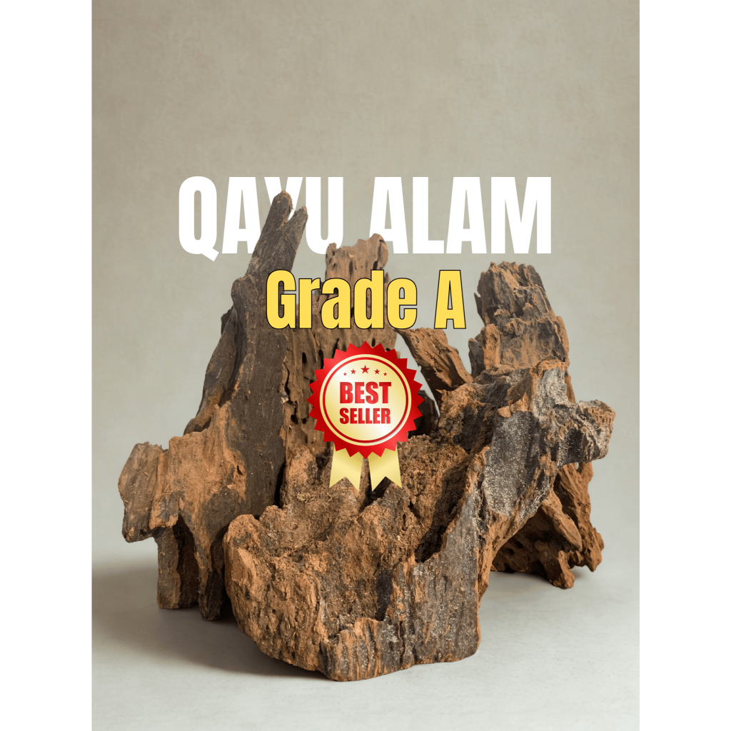 Kayu Rentek L - Kayu Rentek - Hiasan Ruangan, Aquarium, Paludarium, Taman dll