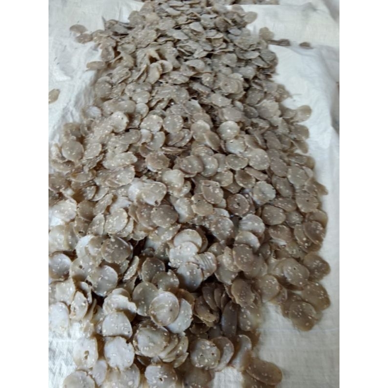 

Krupuk tempe kemasan 1kg