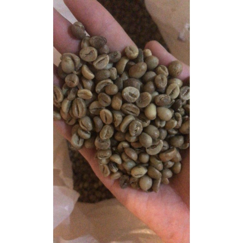 

Robusta G1