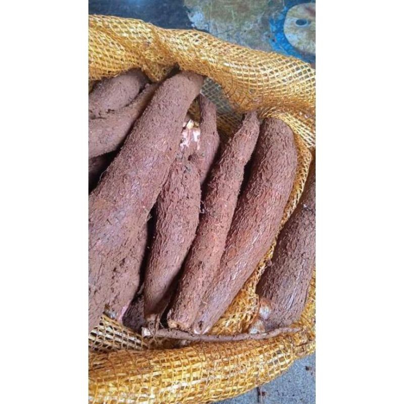 

SINGKONG MENTEGA DAN SINGKONG PULEN - 1kg
