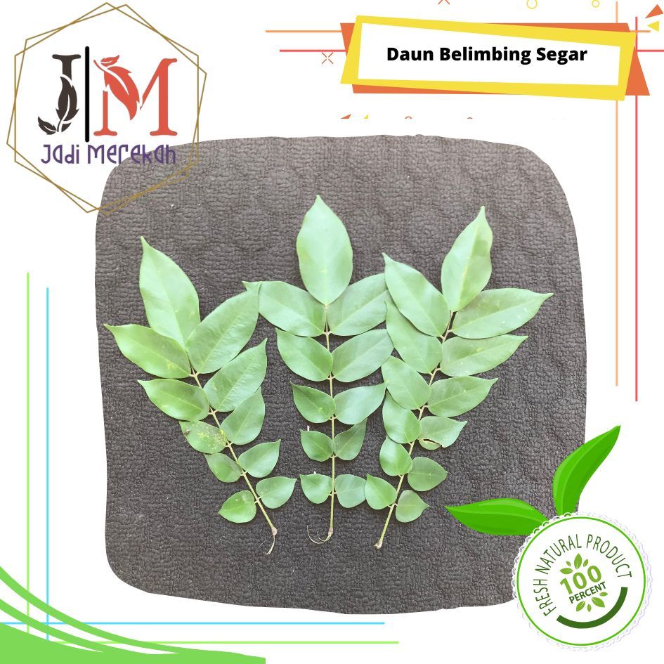 

[JM SoFresh] Daun Belimbing Segar 20 Lembar