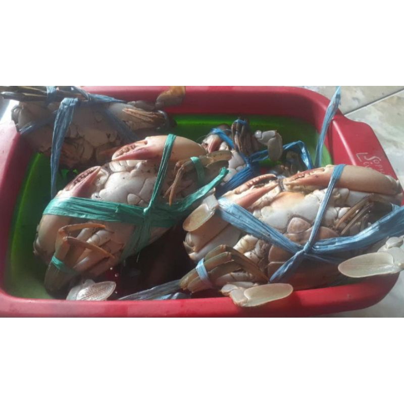 

FRESH Kepiting Mix Besar-Sedang isi 8