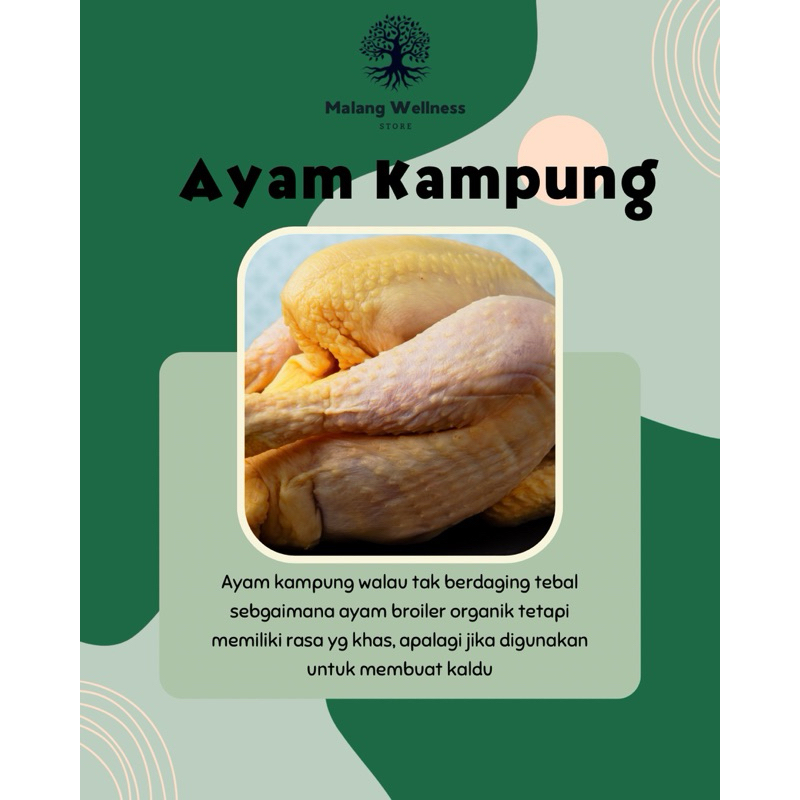 

Ayam Kampung