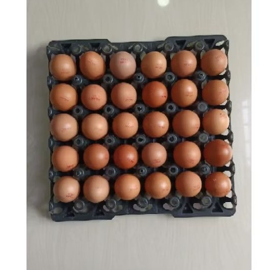 

Telur Ayam Negri Omega 3 Asli Fresh Grade Kecil (30 Butir)