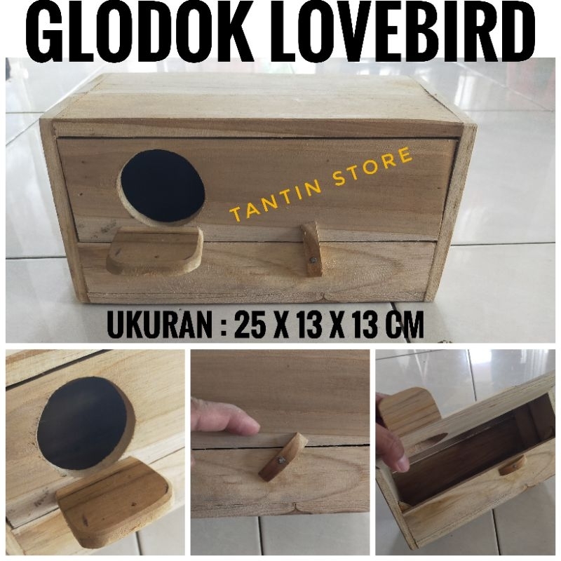 Glodok Burung Lovebird dan Parkit Lokal