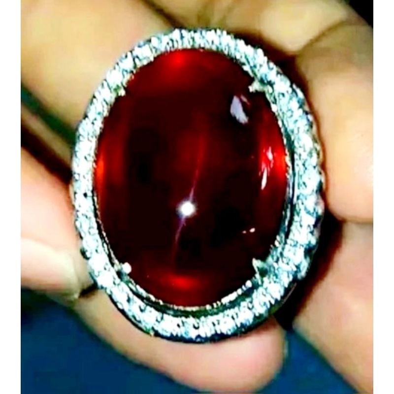 Red Obi bacan obi merah