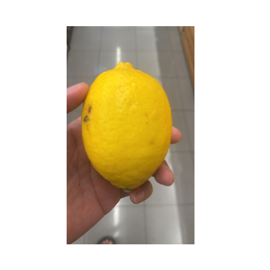 

Buah Lemon Export Segar Premium