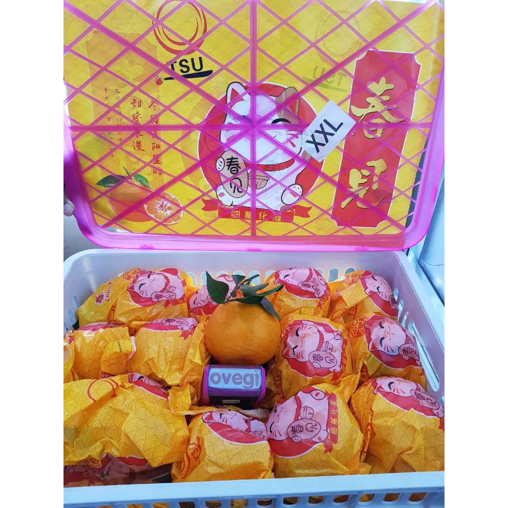 

JERUK MANDARIN PAPAGAN/DEKOPON KUCING XXL/DEKOPON 2XL 1KG