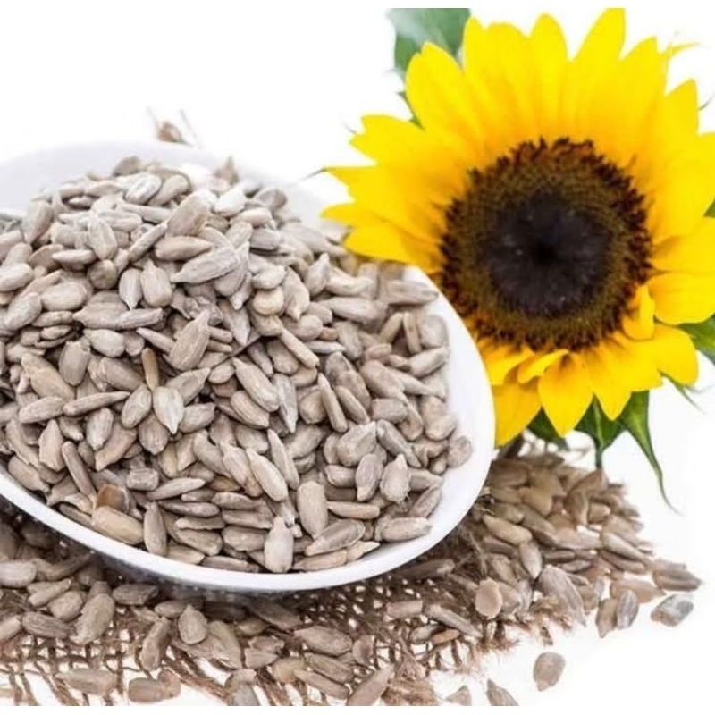 

Kuwaci Biji Bunga Matahari