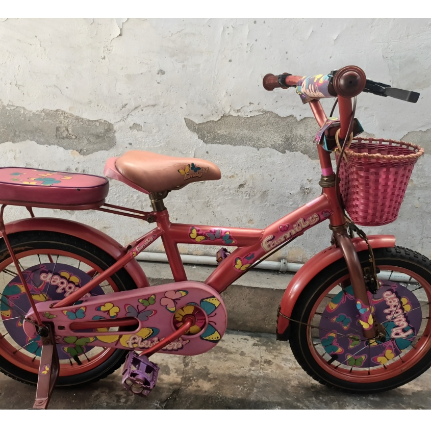 SEPEDA ANAK MINI 16 INCH FAMILY FLUBBER