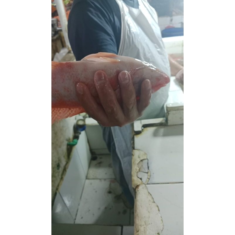 

ikan nila atau mujair 1kg isi 2