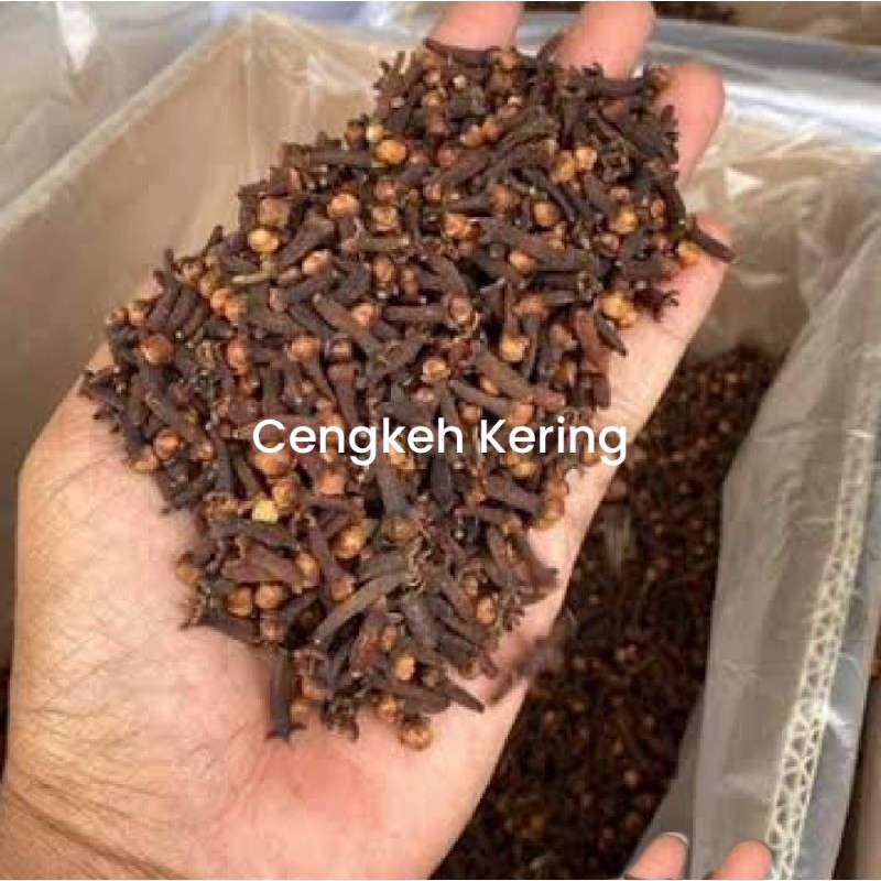 

Cengkeh Kering 500g Syzygium aromaticum