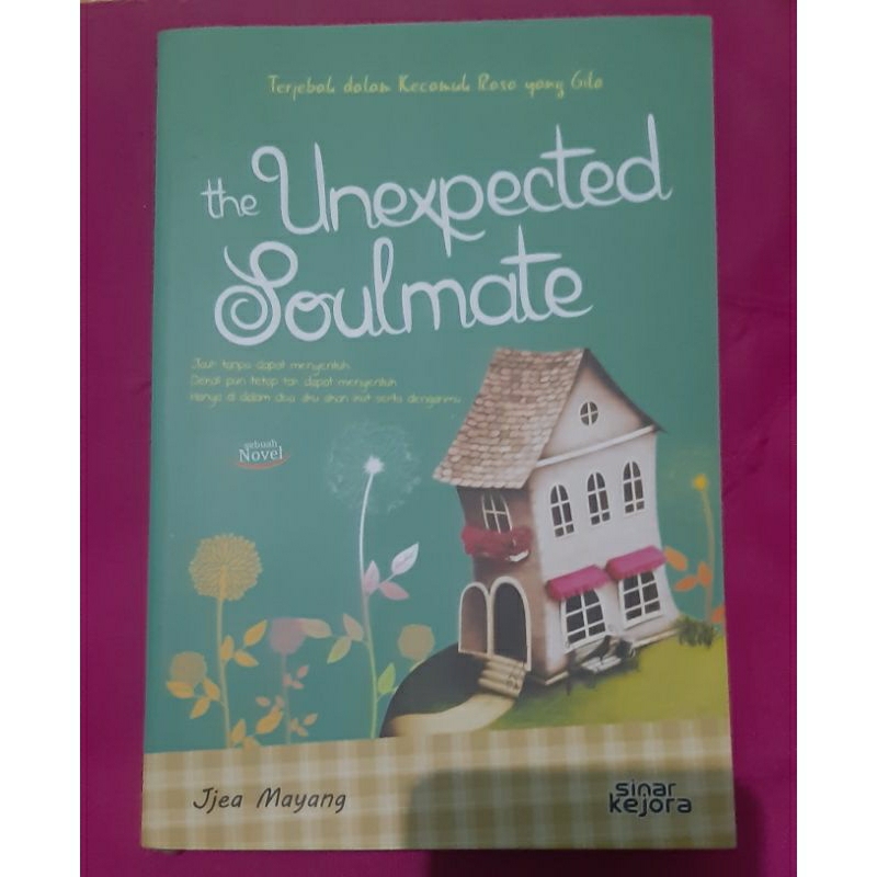 Novel/Fan Fiction/ FF Romansa/Romance Kyuhyun Super Junior The Unexpected Soulmate Bekas/Preloved/PL