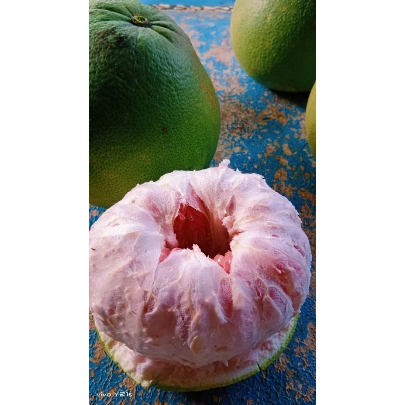 

jeruk pamelo madu muria JUMBO berat 2,3kg-2,4kg