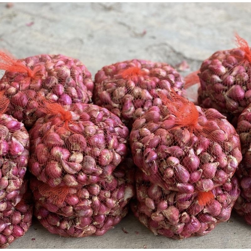 

Bawang Merah Brebes Kemasan 1Kg.